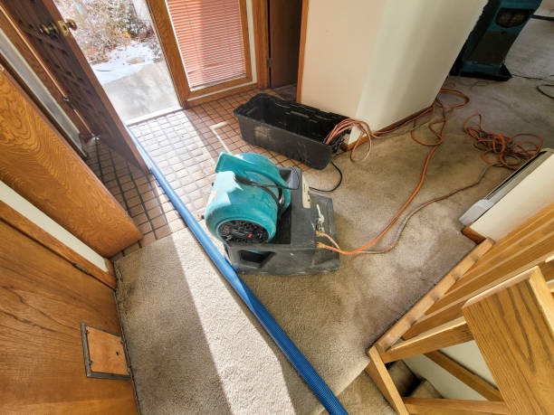 Best Fire Damage Restoration  in Clarkston, WA