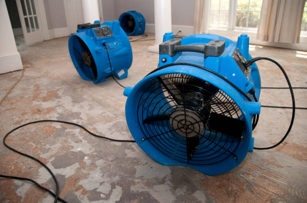 Best Water damage restoration near me  in Clarkston, WA