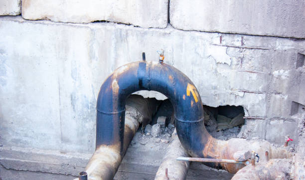 Best Professional water damage repair  in Clarkston, WA