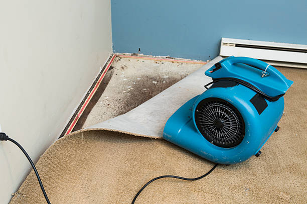 Best Ceiling water damage repair  in Clarkston, WA